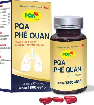 PQA PHẾ QUẢN VIÊN NANG (LỌ 100 VIÊN)