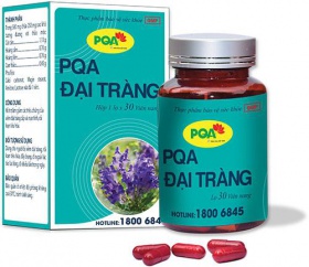 PQA ĐẠI TRÀNG (DẠNG VIÊN)