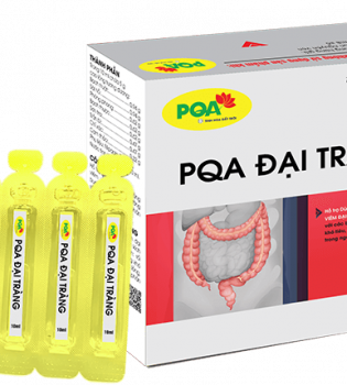 PQA ĐẠI TRÀNG